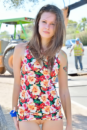 Shea flashing at construction